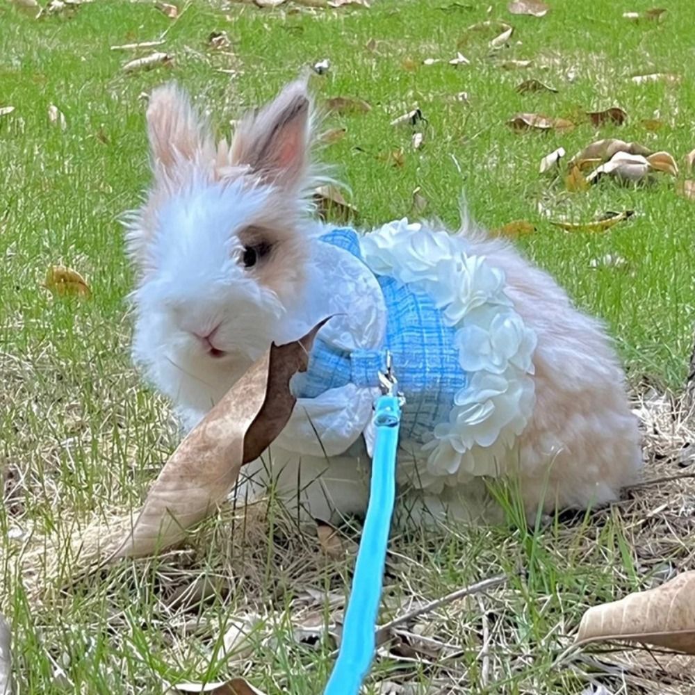Adorable disfraz de conejo aju - Outdoor Adventure Outfit reseña y precio