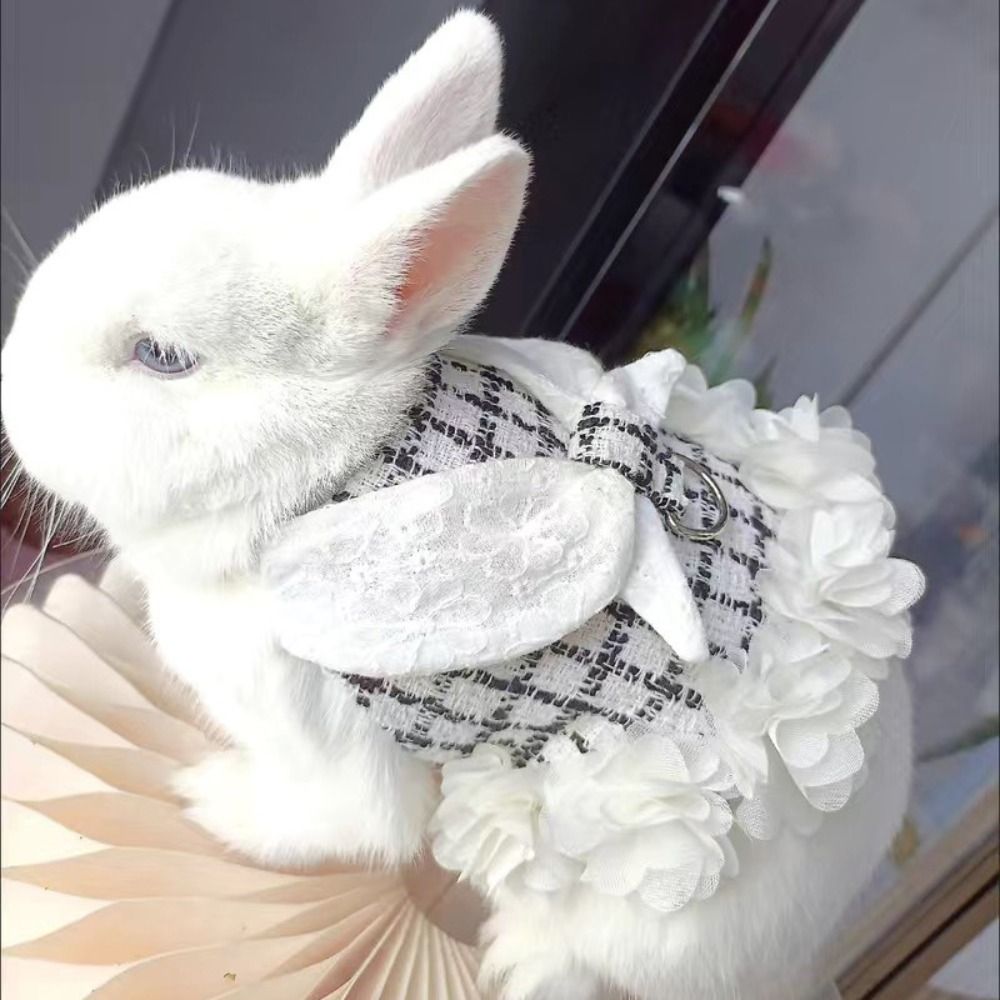 Adorable disfraz de conejo aju - Outdoor Adventure Outfit reseña y precio